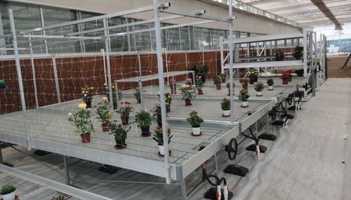 Letzte Unternehmenslösungen über Ebb- und Flow-Bänke in Gewächshausanwendungen in den Vereinigten Staaten