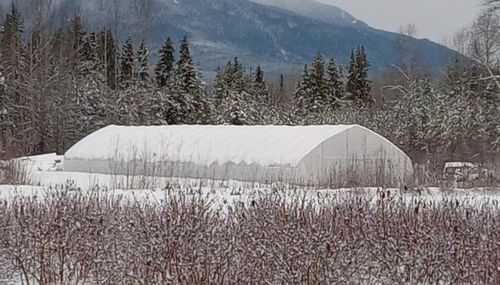 Letzte Unternehmenslösungen über TU Film Gewächshaus Projekt in Kanada