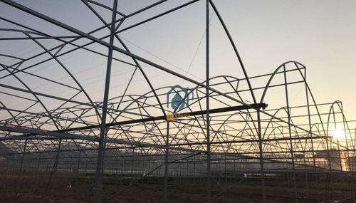 Letzte Unternehmenslösungen über Kommerzielle Blumenfarm in Kenia