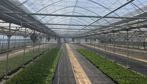 Neueste Unternehmensnachrichten über Hydroponisches Landwirtschaftssystem Plastiksaatfach Rolltisch für landwirtschaftliche Verwendung