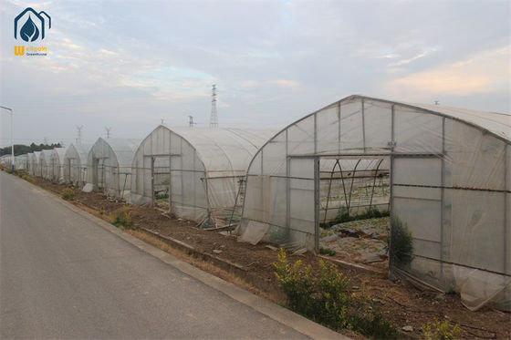Arched Temperature Control Tunnel Green Houses With Outside Shading System