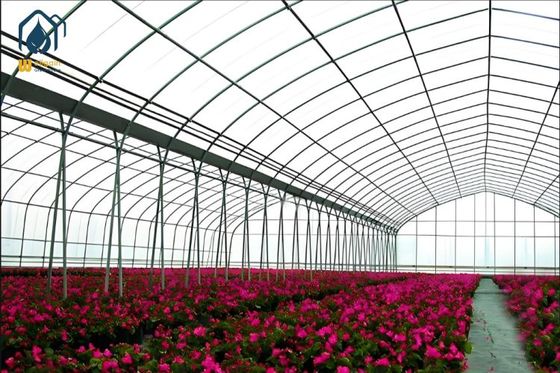 Commercial Prefab Structure Modular Tunnel Plastic Film Greenhouse for Agriculture Farming