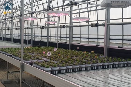 Gewächshausverzinkte Stahlwalztische mit eingebautem Abwassersystem