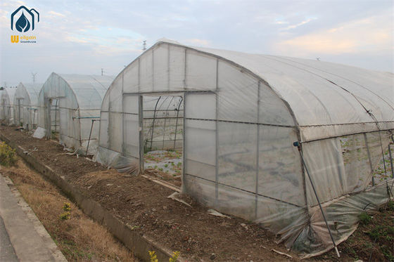 Invernadero comercial de túnel de tramo único para el crecimiento y la protección de las plantas