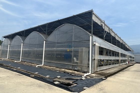 Qualität Gewächshaus mit Sprinklerbewässerungssystem usine