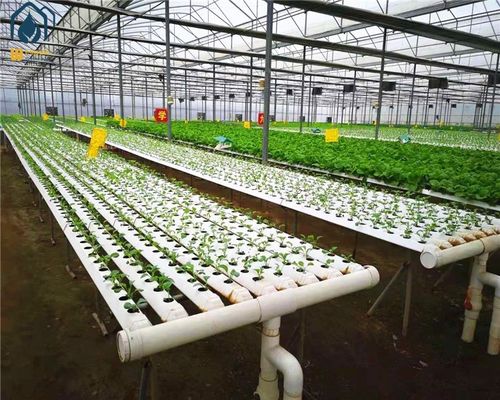 Ein guter Preis. Landwirtschaftlicher Salat hydroponischer Anbausystem NFT vertikaler hydroponischer System Online