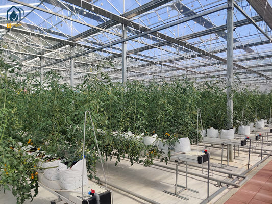 Ein guter Preis. Gewächshaus Stahl Substrat Pflanzungskanal Landwirtschaftliches Hydroponisches System für Tomaten Online