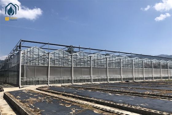 Ein guter Preis. Heißverzinktes Stahlrohr Gehärtetes Glas Gewächshaus 8m 9,6m 12m Span Breite Online