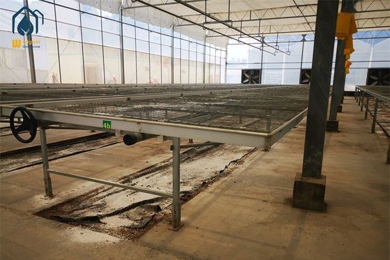 Good price Movable Galvanized Mesh Seed Bench Nursery Rolling Bench Tables Tray Bench online