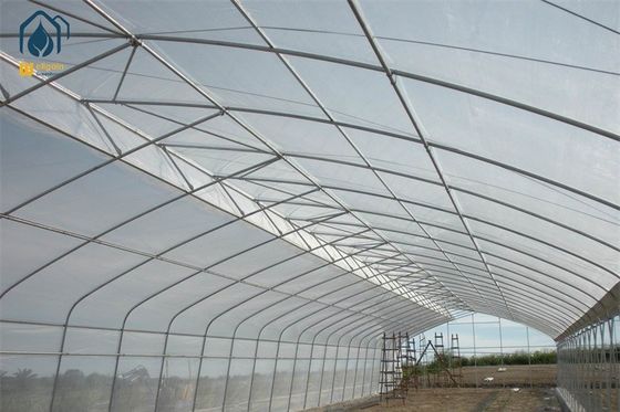 Un bon prix. Serre à longue portée personnalisable 5m - 12m de largeur avec système d'irrigation à goutte à goutte en ligne