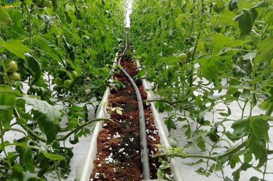 Ein guter Preis. PVC-Substratpflanzung Giebel Hydroponik für Erdbeeren und Tomatenpflanzung Online
