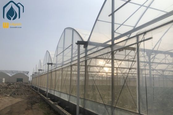 Good price Multi Span Agriculture Greenhouse For Sustainable Crop Cultivation online