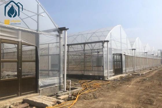 Good price Easy Installation Multi Span Horticulture Greenhouse For Year Round Cultivation online