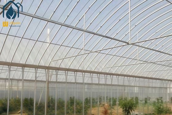 Good price Agriculture Multi Span Poly Tunnel Greenhouse Environment Friendly For Vegetables online