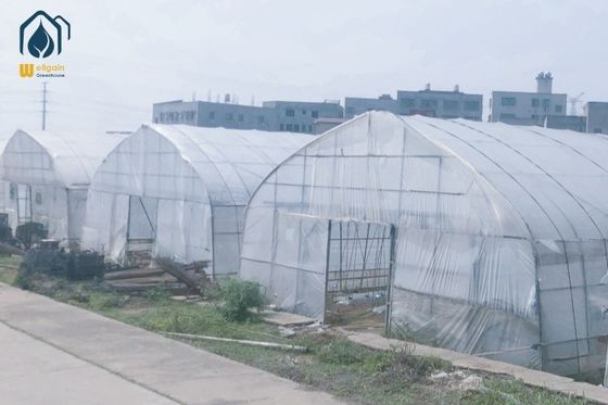 Ein guter Preis. Hot Dip Galvanized Pipe High Tunnel Gewächshaus angepasste Landwirtschaft Gewächshaus Online