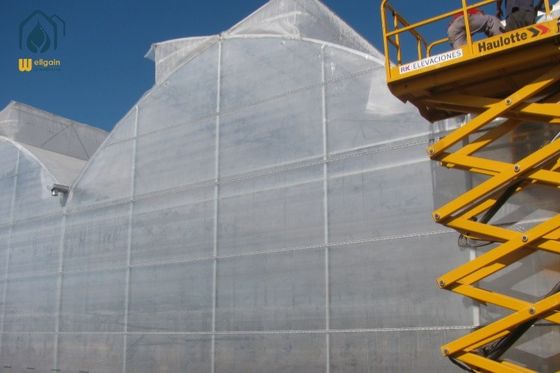 Good price Polythene Film Horticulture Multi Span Greenhouse With Climate Control System online