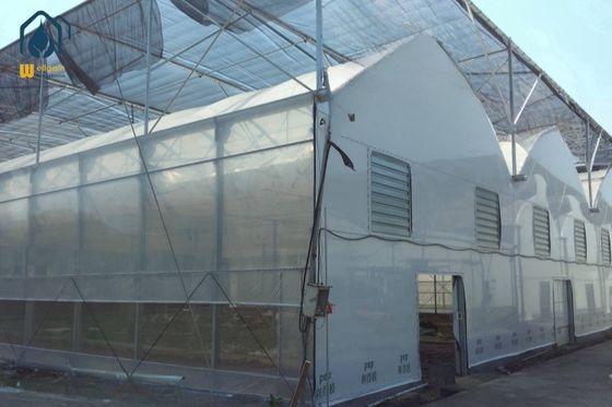Giá tốt. Phát triển hoa nhà kính hiện đại với hệ thống điều khiển tự động trực tuyến