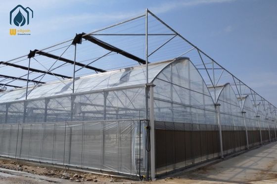 Ein guter Preis. Landwirtschaftliche Verzinkte Stahl-Multi-Span-Gewächshäuser für den Gemüseanbau Online
