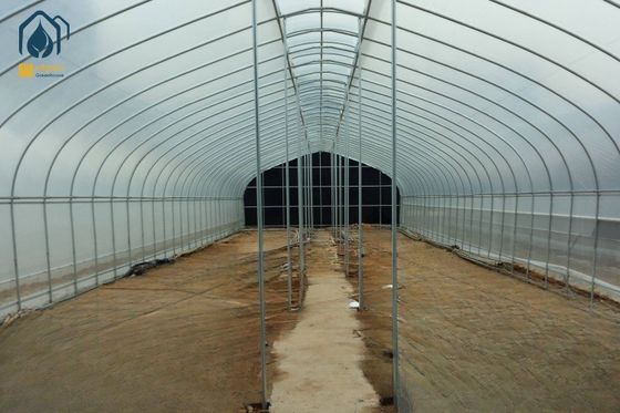 Ein guter Preis. Langlebiges Einfachspann-Tunnel-Gewächshaus für den hydroponischen Gemüse- und Obstanbau Online
