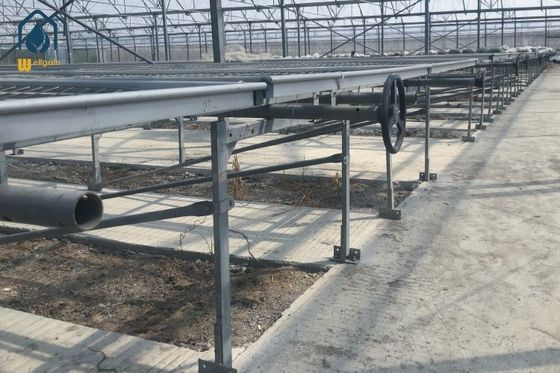 Good price Greenhouse Wire Mesh Mesh Seed Bench Removable Seedling Tray Bench Customized online