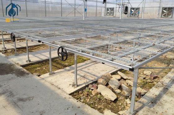 Ein guter Preis. Landwirtschaftliche Saatgut-Rollende Wachstumsbänke Einstellbares Baumhaus für Gemüse und Blumen Online