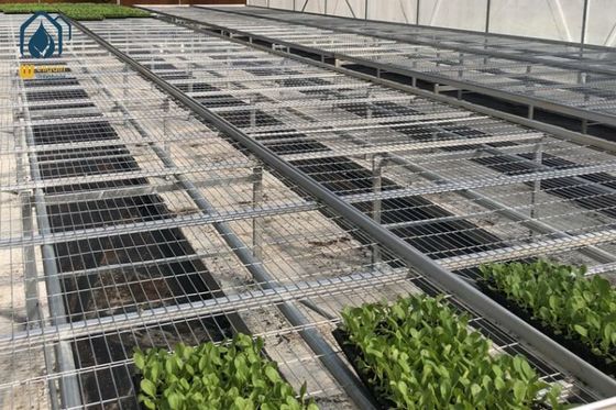 Good price Greenhouse Moveable Mesh Seed Bench Rolling Nursery Seedbed With Aluminum Alloy Frame online