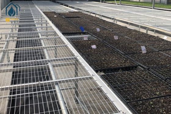 Good price Stackable Galvanized Mesh Seed Bench Agriculture Rolling Tables For Greenhouse online