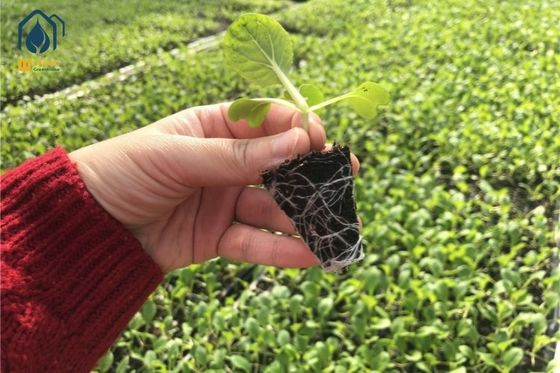 Good price Agriculture Metal Mesh Nursery Rolling Benches Movable Greenhouse Cultivation Bench online