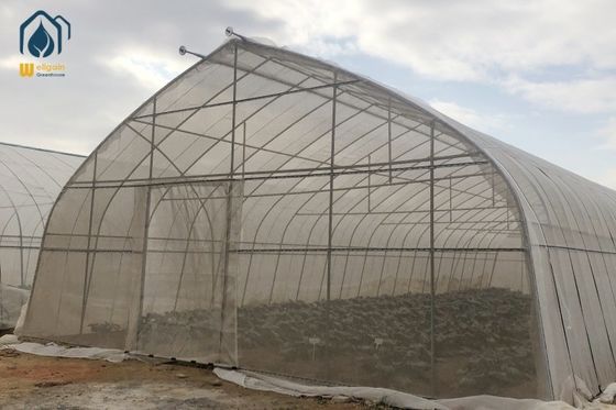 Giá tốt. Bộ phim ống hình bầu dục Multi Span Greenhouse Arcade Greenhouse thương mại Frame trực tuyến