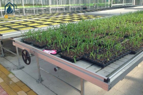 Giá tốt. Nông nghiệp Ebb And Flow Benches Hydroponic seedbed phòng trồng trong nhà trực tuyến