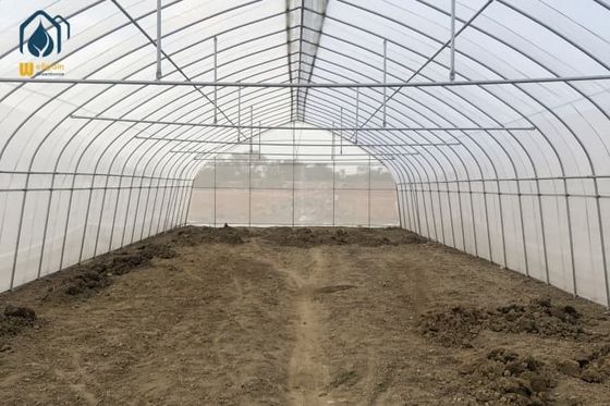 Giá tốt. Nông nghiệp thương mại Nhà kính đường hầm cao Nhà kính khung kim loại một chiều trực tuyến