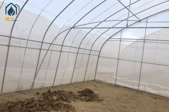 Good price Agricultural Plastic Polytunnel Greenhouse Single Span For Vegetable Fruits Flowers online