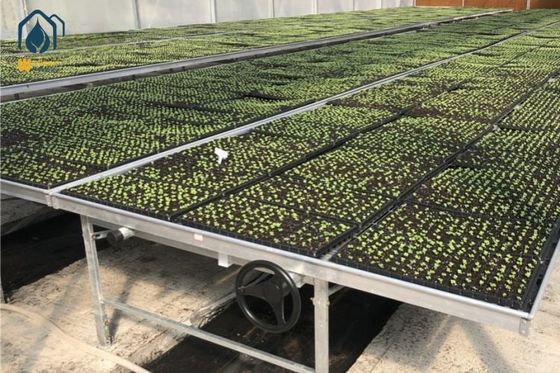 Ein guter Preis. Landwirtschaftliche Verzinkte Metallnetze Samenbank Rollbank Wachstumstisch Für Blumenpflanzung Online