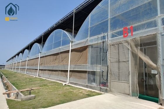 Ein guter Preis. Landwirtschaft Tomatentunnel Gewächshaus Mehrspannungsbau Gartenbau Tropischer Gewächshaus Online