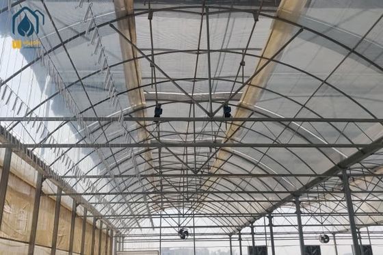 Ein guter Preis. Kunststoff-PO-Film-Multi-Span-Gewächshaus für Erdbeeren galvanisierter Stahlrahmen Online