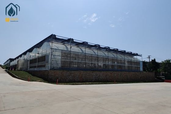 Ein guter Preis. Großer Film Tunnel Gemüse Heizhaus Mehrfachspannung Tomate Wassermelone Gewächshaus Online