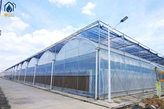 Ein guter Preis. Mehrspannendes Gewächshaus aus Kunststoff für optimales Anbauwachstum und Effizienz Online