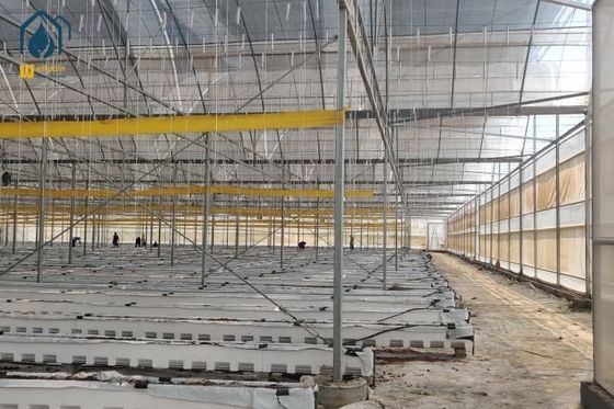 Good price Agricultural Clear Plastic Greenhouse UV Resistant PE Film Greenhouse For Farms online
