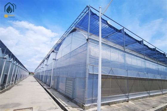 Ein guter Preis. Hydroponische Tomaten, Salat, Landwirtschaftliche Mehrfachspannung, Kunststoffgewächshäuser Online