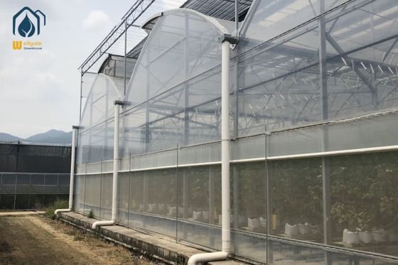 Ein guter Preis. Gemüse Mehrspannung landwirtschaftliches Gewächshaus Anlage Kunststofffolie Gewächshaus Online