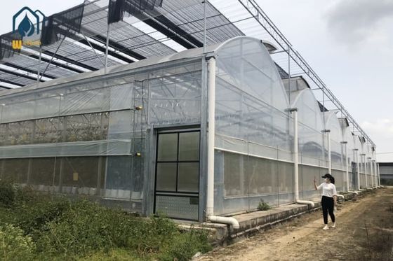 Giá tốt. Nông nghiệp đa dải trồng rau Tầm đường kính đa dải kính phim trực tuyến