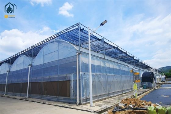 Good price Modern Multi Span Agricultural Greenhouse PE Film Commercial Greenhouse Construction online