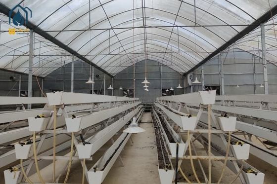 Ein guter Preis. Landwirtschaftliche Vertikal-PVC-NFT-Schluchtpflanzungen Landwirtschaft Gemüsepflanzungen Online