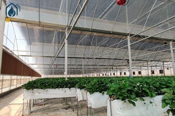 Giá tốt. PVC lớn Hydroponic Growing Troughs Strawberry Growing Gutters Dễ cài đặt trực tuyến