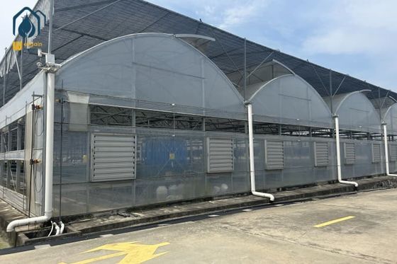 Ein guter Preis. Gemüse und Kräuter Mehrspannung Gewächshaus Dauerhaftes Gewächshaus Online