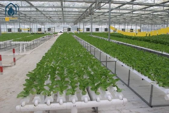 Ein guter Preis. Landwirtschaftliche vertikale NFT Hydroponische Salat-Anbausysteme Ausrüstung im Gewächshaus Online
