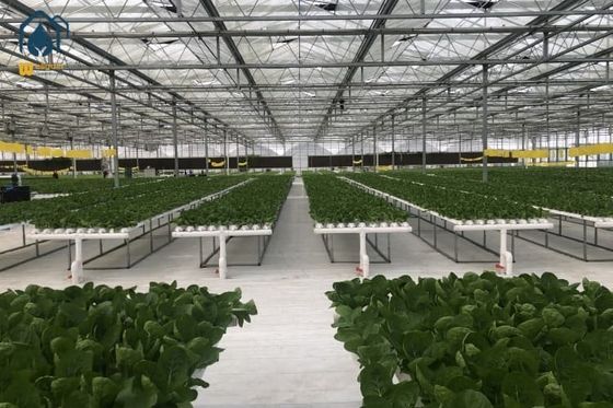Ein guter Preis. Gewächshaus-Hydroponische vertikale NFT-Hydroponische Anlage Bodenlose Gemüseanpflanztriebe Online