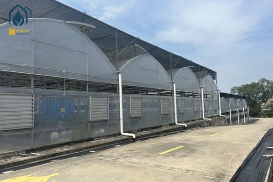 Good price Organic Farming Multi Span Greenhouse Large Commercial Greenhouses online