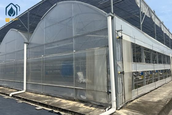 Good price Plastic Multi Span Eco Friendly Greenhouse With Temperature Controlled Growing online