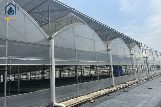 Ein guter Preis. Multiplatzkräuter Gewächshauslandwirtschaft UV-beständig mit Hydroponisches System Online